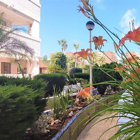 Acv - Marina Trebol Iii-2ª Linea Planta 1 Norte-3H أوروبيسا ذيل مار المظهر الخارجي الصورة