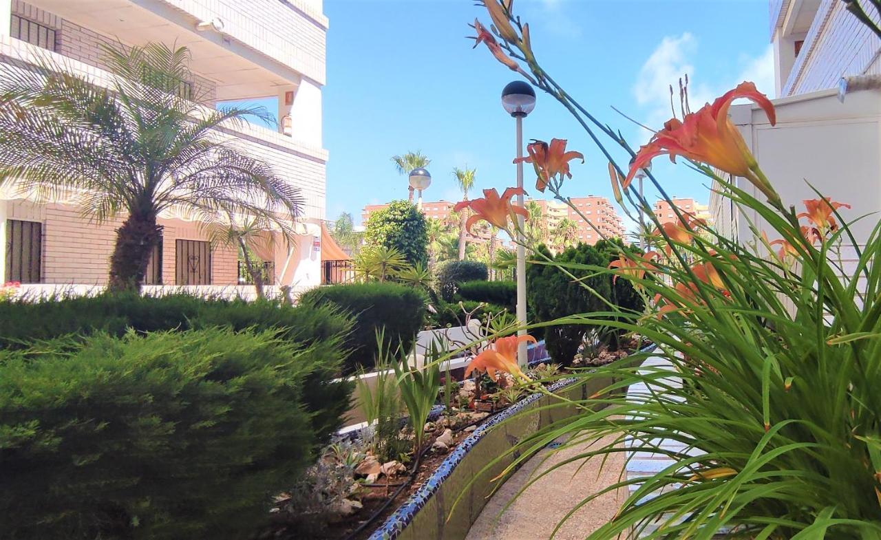 Acv - Marina Trebol Iii-2ª Linea Planta 1 Norte-3H أوروبيسا ذيل مار المظهر الخارجي الصورة